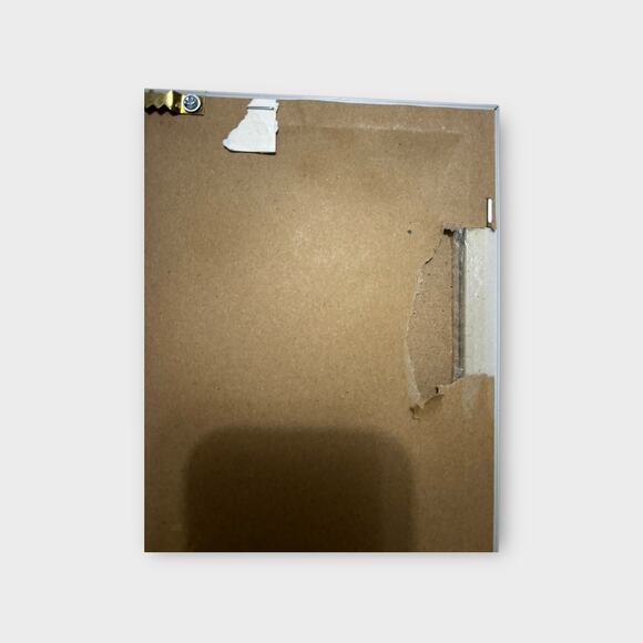 Jade Reynolds 2 Framed Bird Themed Art Prints 13 X 10" Wall Home Decor - Picture 10 of 10